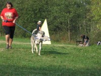 /album/vylety/fotky-z-tabora-6-jpg/